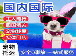 白山空运地址国际宠物托运 【国